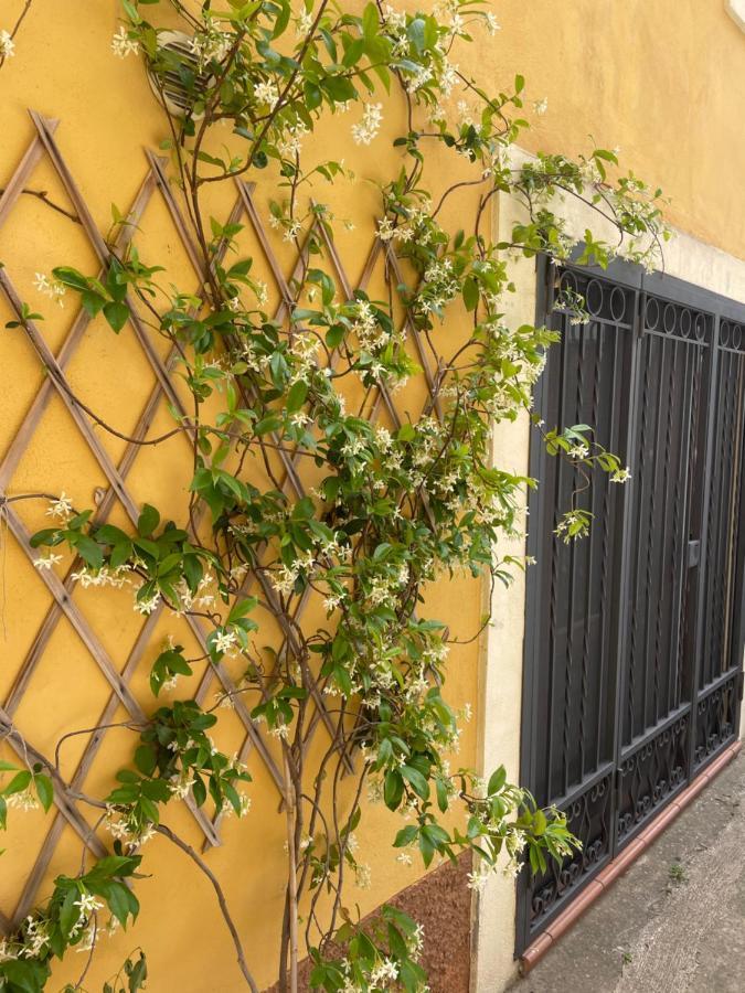 B&B Mela Roggiano Gravina Ngoại thất bức ảnh